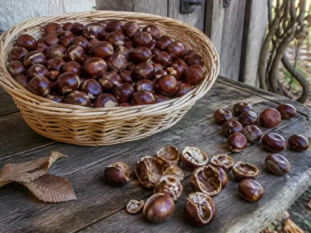 Panier de châtaignes sur table en bois montrant comment conserver les châtaignes efficacement