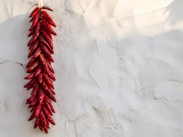 Piments rouges allongés enfilés en corde, suspendus contre un mur blanc